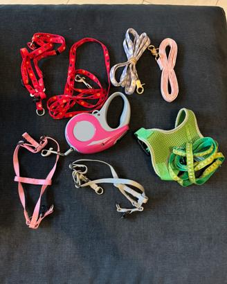 Accessori cagnolino
