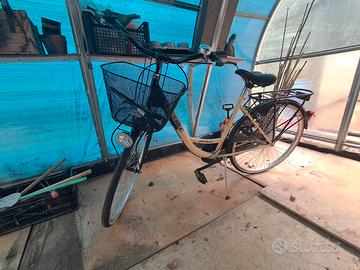 bicicletta