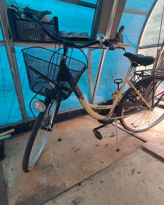 bicicletta
