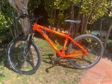 Dytona TSeven5