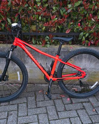Mountain bike Specialized Pitch