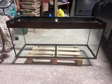 Acquario Juwel RIO 240 litri