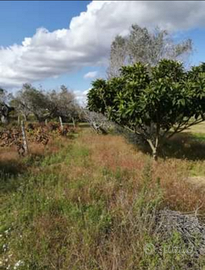 Terreno agricolo NON edificabile