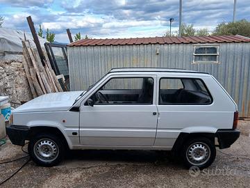Panda young 750
