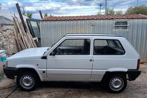 Panda young 750