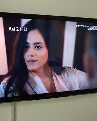 Televisione Philips 32" ( No smart TV)