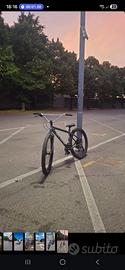 fast ripper 2026