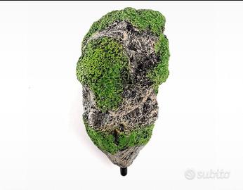 Roccia Galleggiante