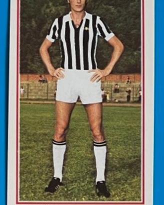 FRANCESCO MORINI 194 figurina PANINI 1974 75 Card