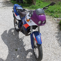 Ciclomotore