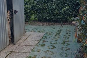 Terreno agricolo a varallo pombia