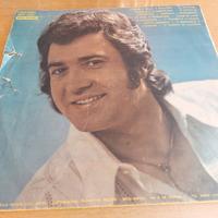 Dischi in vinile 33 giri 