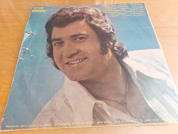 Dischi in vinile 33 giri 