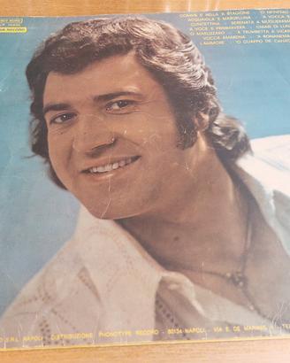 Dischi in vinile 33 giri 