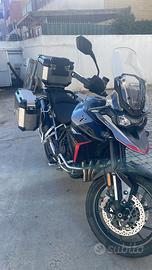 Tiger GT PRO 2024 - Come NUOVA - FINANZIABILE