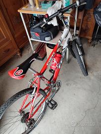 Mountain bike da 24