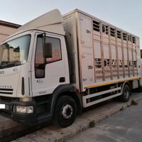 Iveco 150e21 trasporto animali