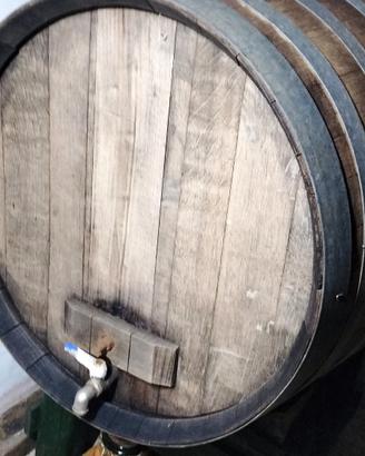 botte per vino 