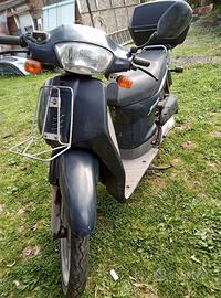 honda    SH 100