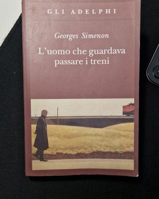 L'uomo che guardava passare i treni