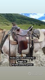 Sella wade