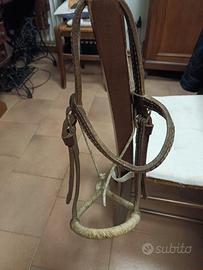 bozer per doma americana