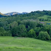 Azienda agricola biologica