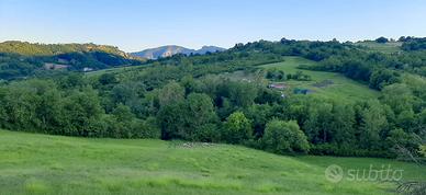 Azienda agricola biologica