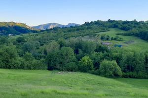 Azienda agricola biologica