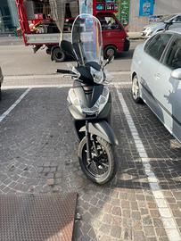 Sh 300 sport