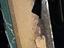 Immagine 29