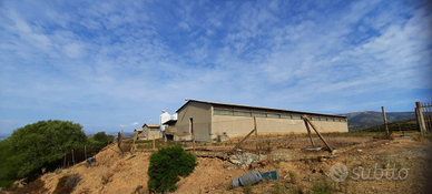 Tre Capannoni panoramici Dolianova