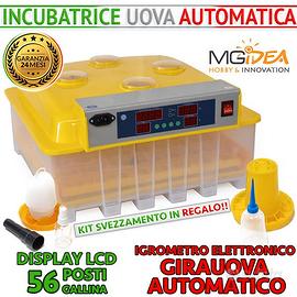 INCUBATRICE 56 PLUS POSTI AUTOMATICA GIRAUOVA IGRO