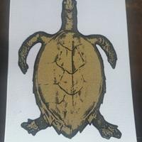 S.O.S WORLD  Testuggini a Venezia