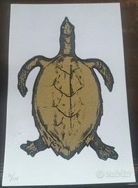 S.O.S WORLD  Testuggini a Venezia