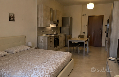 CORSO DUCA DEGLI ABRUZZI GRAZIOSO MONOLOCALE NUOVO