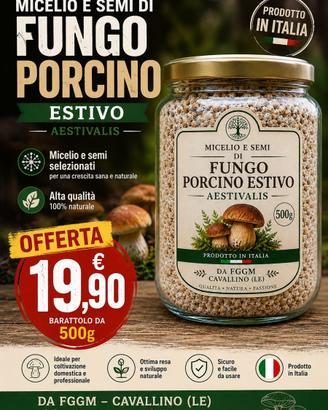 Micelio funghi estivi