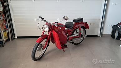 benelli leoncino 125