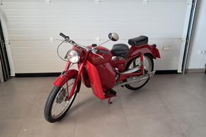 benelli leoncino 125
