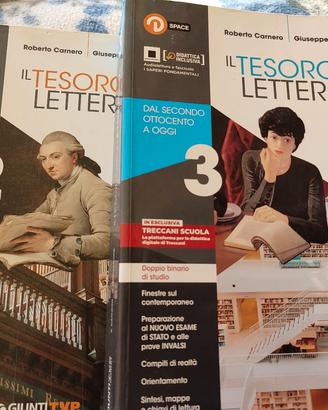 testo letteratura 