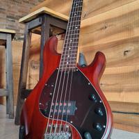 Basso Sterling by Music man 5 corde attivo