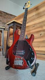 Basso Sterling by Music man 5 corde attivo