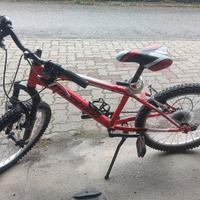 bici bambino 20 pollici 
