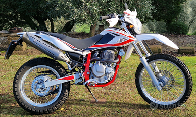 BETA ALP 4.0 2019 km 11.200