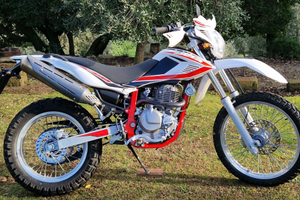 BETA ALP 4.0 2019 km 11.200