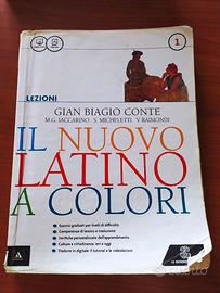 esercizi latino Gian Biagio conte 9788800224765