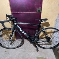 Bici da strada Whistle in carbonio