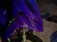 Immagine 4