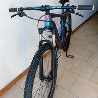 Mtb carbonio