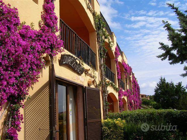 Appartamento – Arzachena, Pantogia - Vista 2